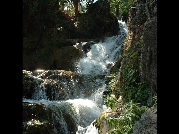 slideshow image